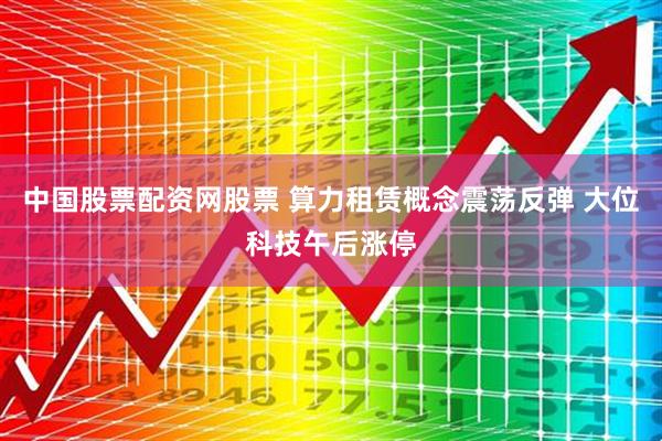 中国股票配资网股票 算力租赁概念震荡反弹 大位科技午后涨停