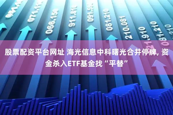 股票配资平台网址 海光信息中科曙光合并停牌, 资金杀入ETF基金找“平替”