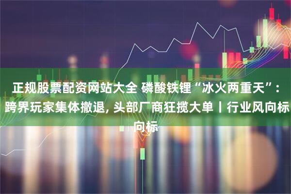 正规股票配资网站大全 磷酸铁锂“冰火两重天”: 跨界玩家集体撤退, 头部厂商狂揽大单丨行业风向标