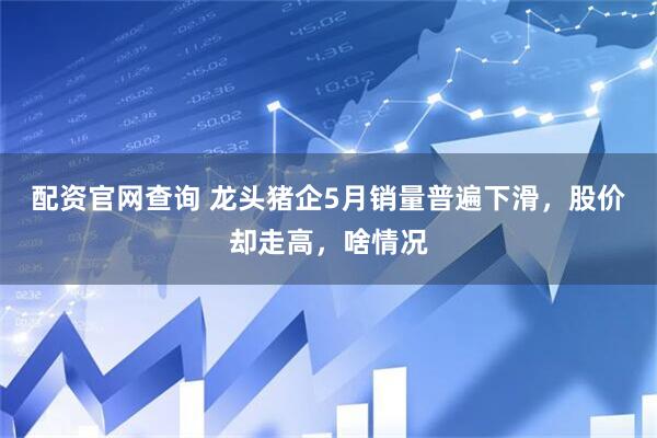 配资官网查询 龙头猪企5月销量普遍下滑，股价却走高，啥情况