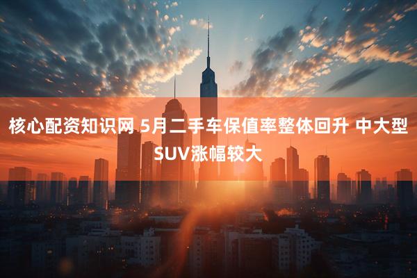 核心配资知识网 5月二手车保值率整体回升 中大型SUV涨幅较大