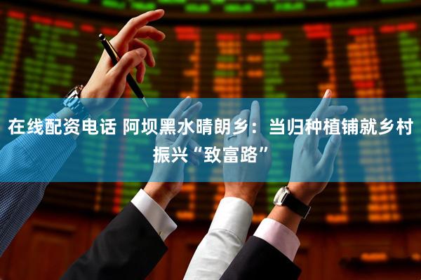在线配资电话 阿坝黑水晴朗乡：当归种植铺就乡村振兴“致富路”